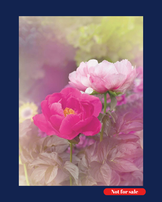 Twilight  – 芍薬の花は凛と立つ –
